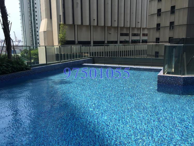 Skysuites@Anson (D2), Apartment #153287642